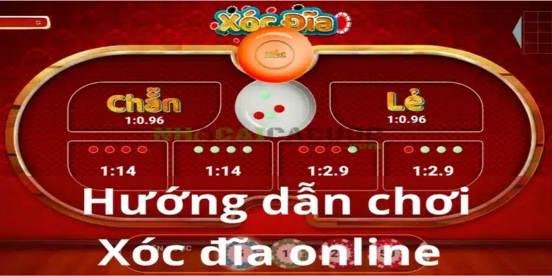 Giải thích cược xóc đĩa bịp và những rủi ro tiềm ẩn